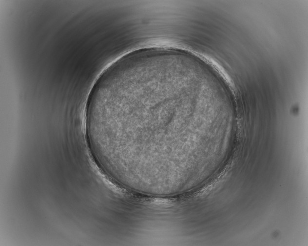 X0000097610839200803211721