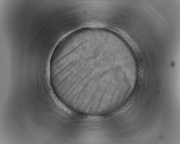 X0000097610840200803211721