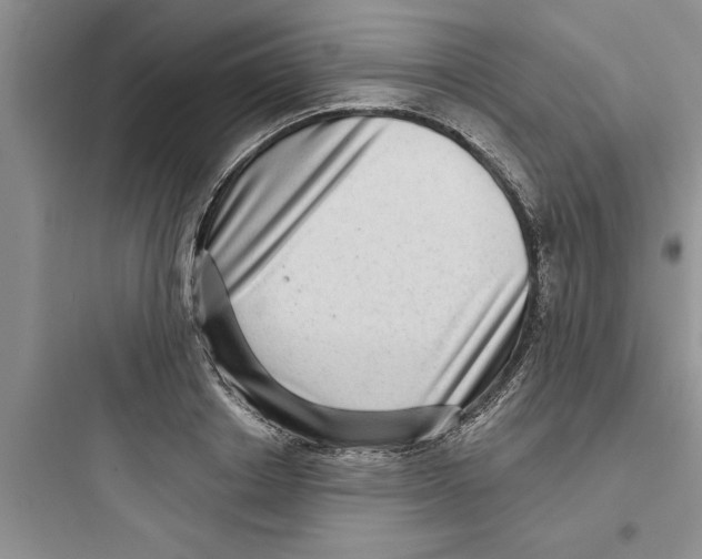 X0000097610842200803211721