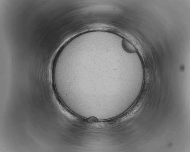 X0000097610843200803211721