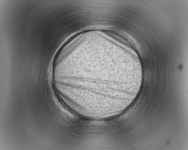 X0000097610844200803211721