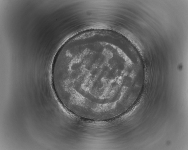 X0000097610845200803211721