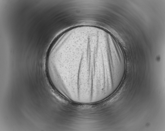 X0000097610846200803211721