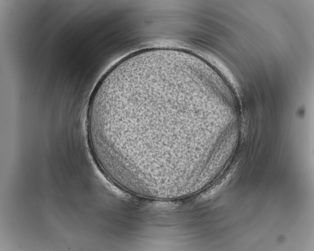 X0000097610847200803211721