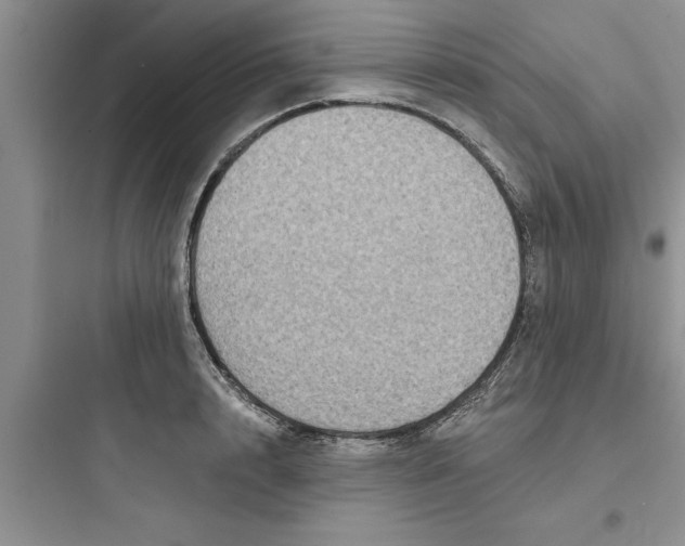 X0000097610848200803211721