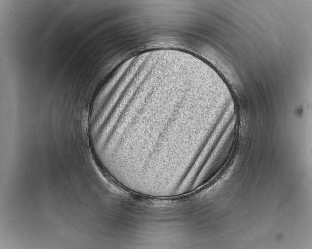 X0000097610849200803211721