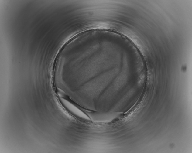 X0000097610850200803211721