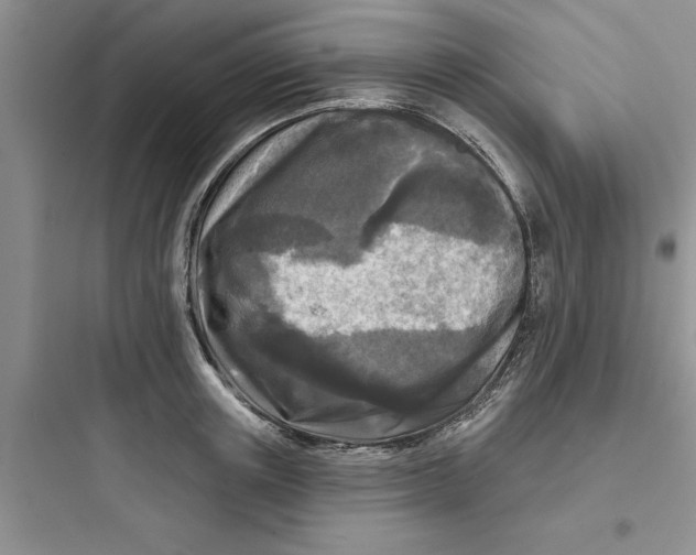 X0000097610851200803211721