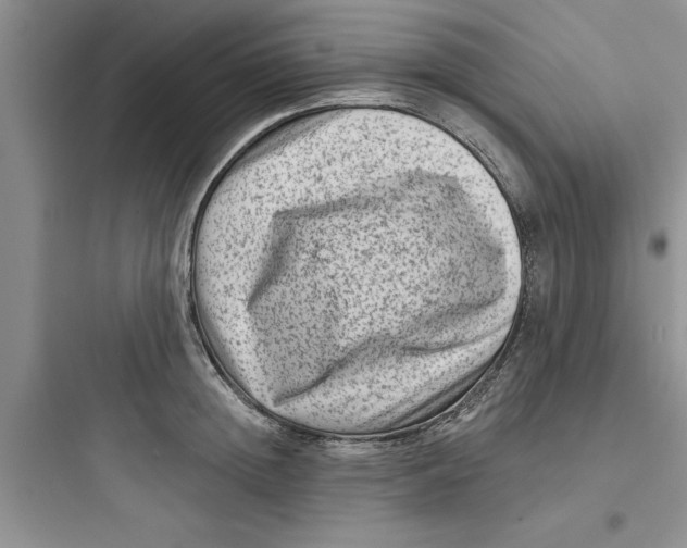 X0000097610852200803211721