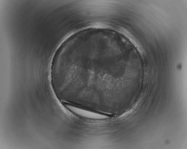 X0000097610853200803211721