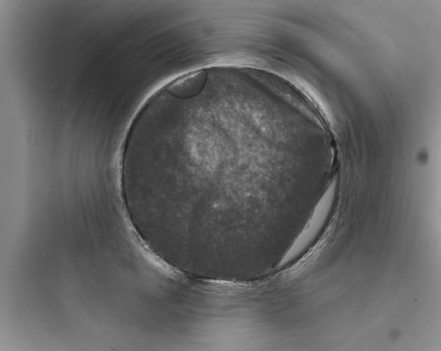 X0000097610854200803211721