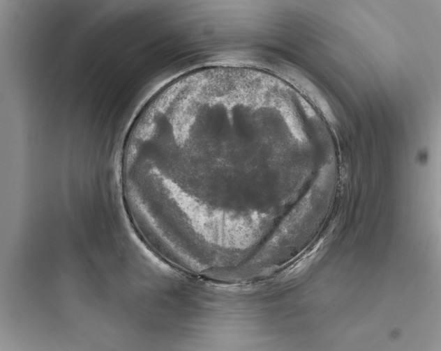 X0000097610855200803211721