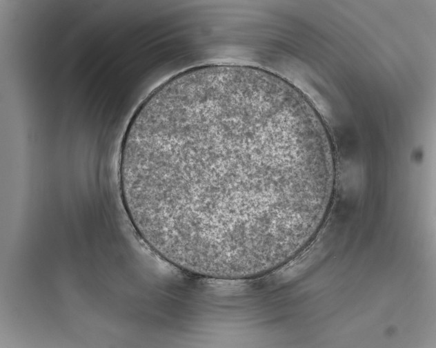 X0000097610856200803211721