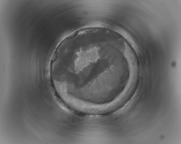 X0000097610858200803211721