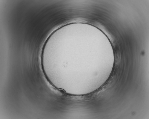 X0000097610861200803211721