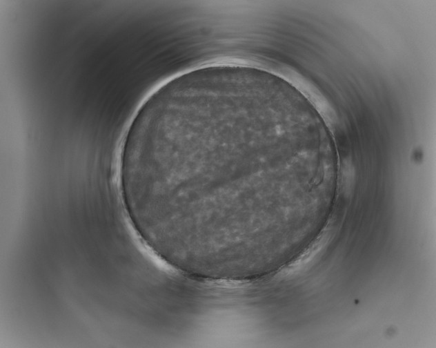 X0000097610862200803211721