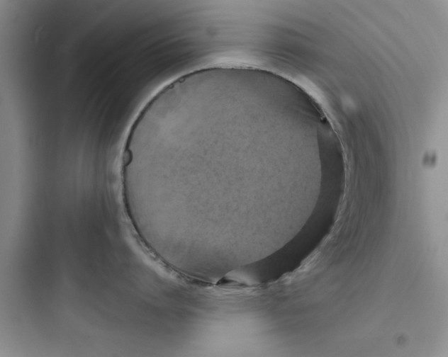 X0000097610864200803211721