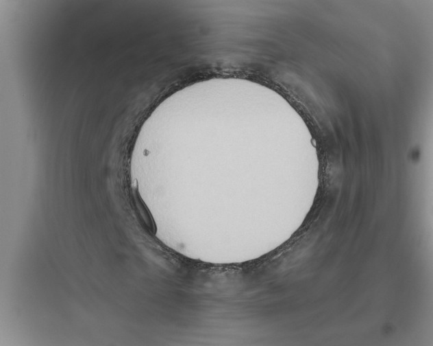 X0000097610865200803211721