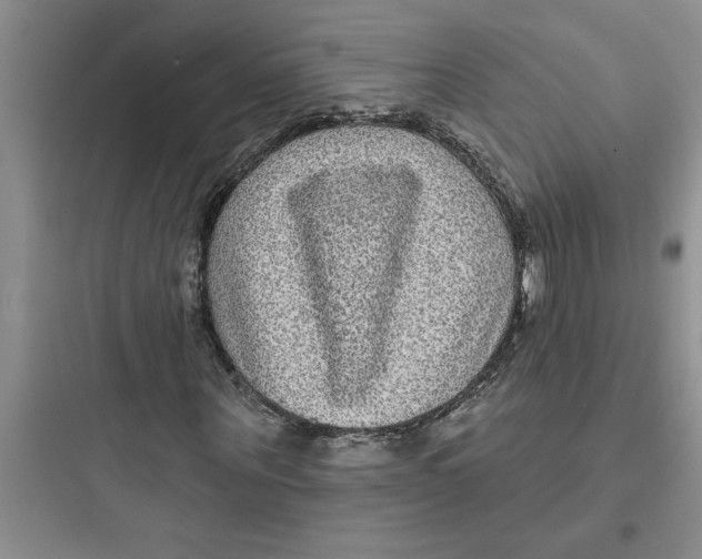 X0000097610867200803211720