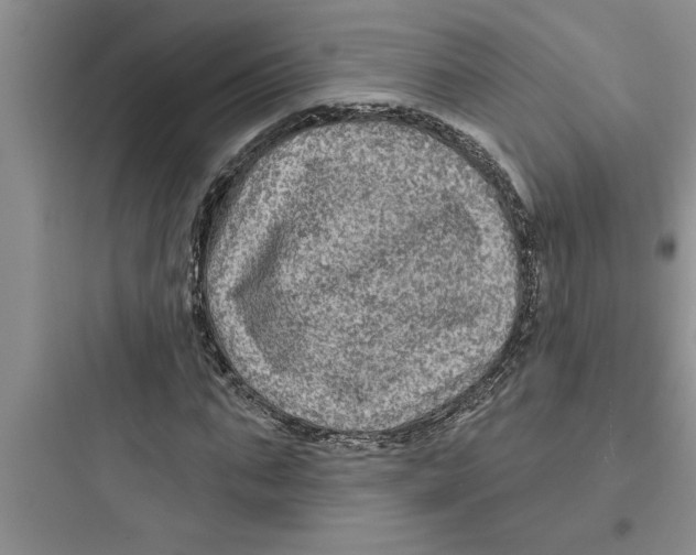 X0000097610871200803211720