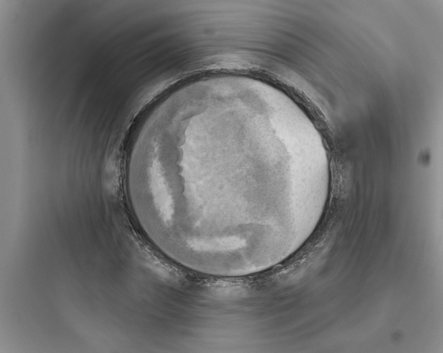 X0000097610874200803211720