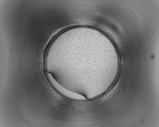 X0000097610875200803211720