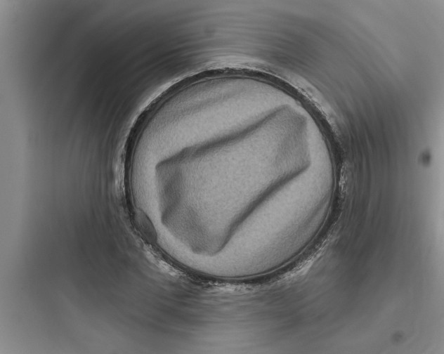 X0000097610877200803211720