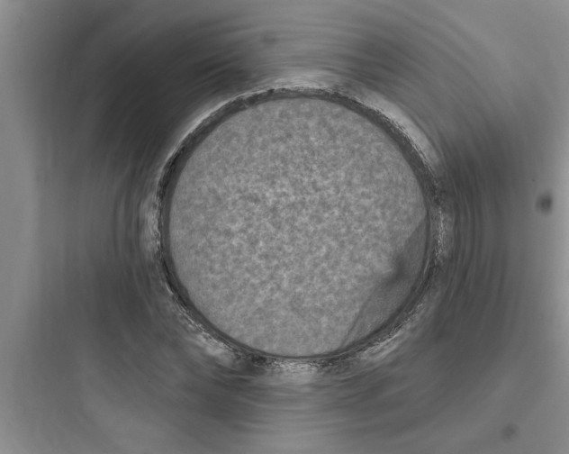 X0000097610878200803211720