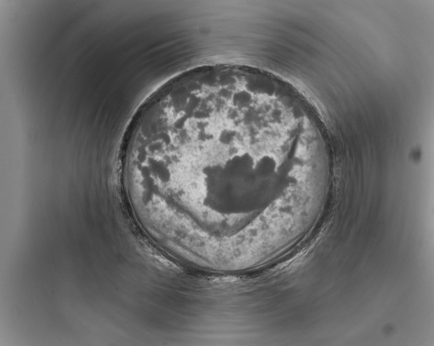 X0000097610879200803211720