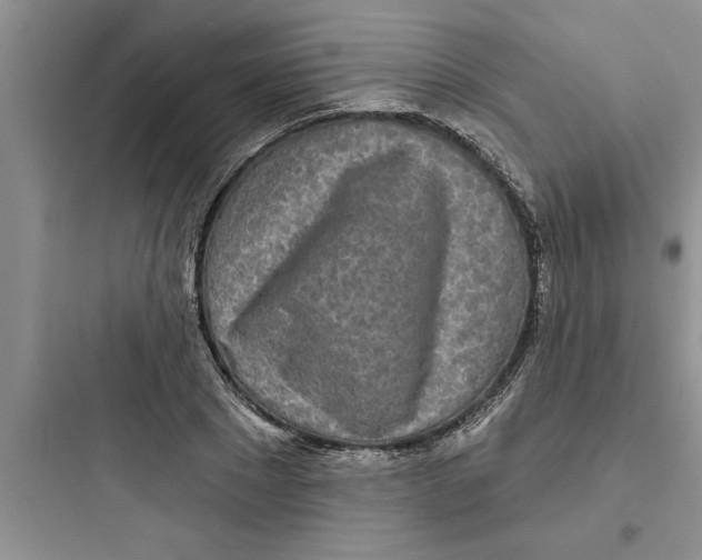 X0000097610881200803211720