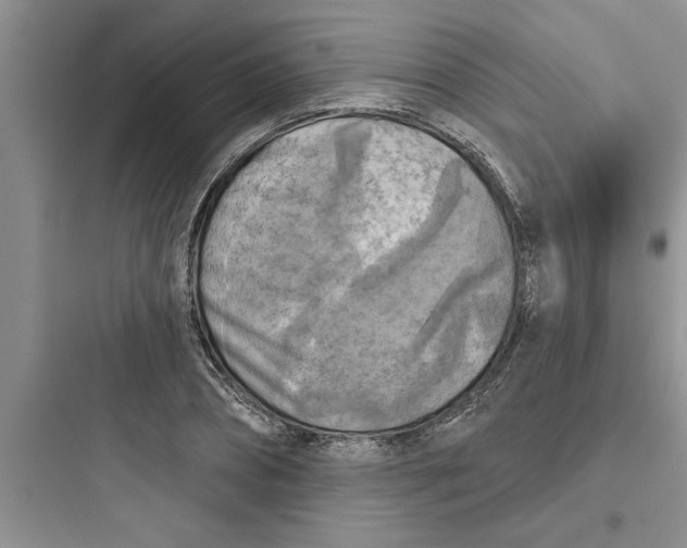 X0000097610882200803211720