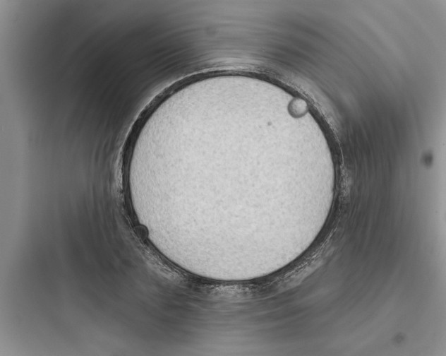 X0000097610883200803211720