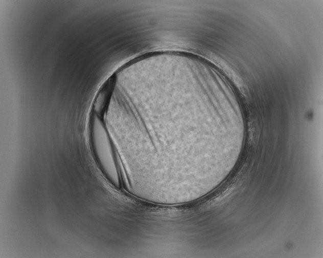 X0000097610885200803211720