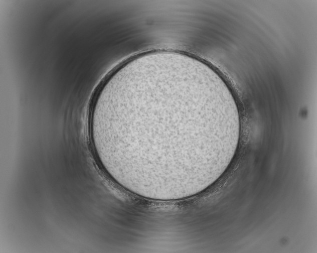 X0000097610886200803211720