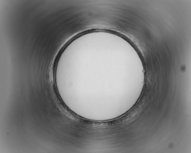 X0000097610887200803211720