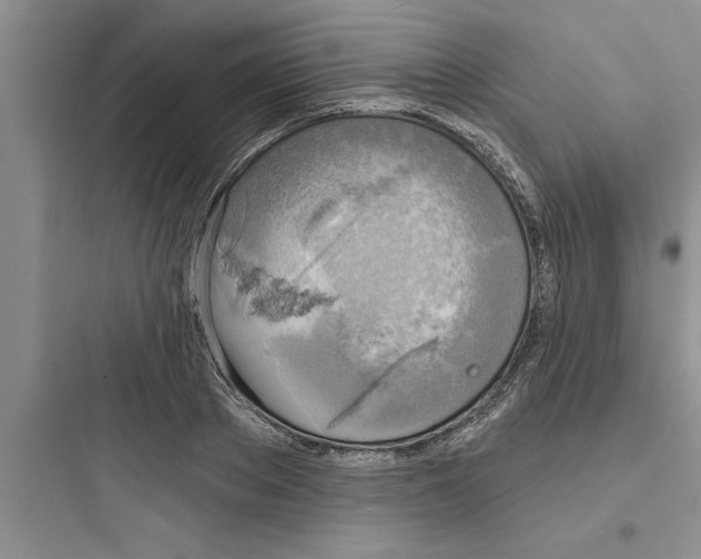 X0000097610889200803211720