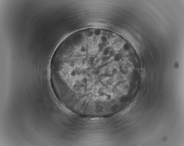 X0000097610891200803211720