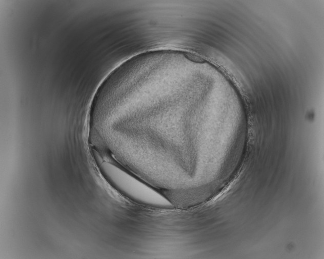 X0000097610892200803211720