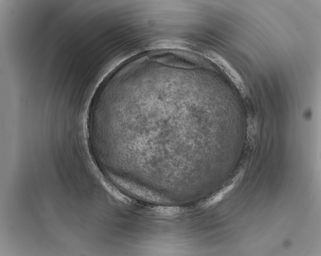 X0000097610893200803211720