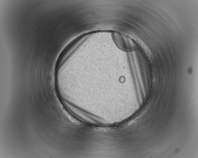 X0000097610894200803211720