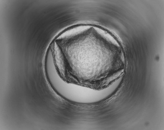 X0000097610895200803211720