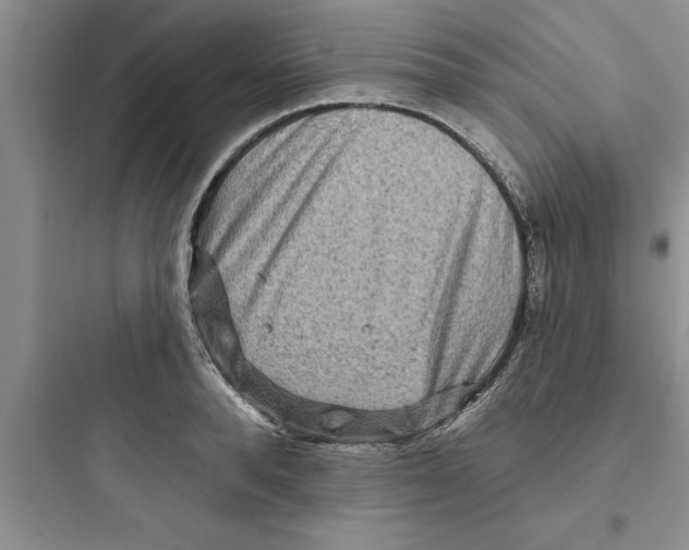 X0000097610896200803211720