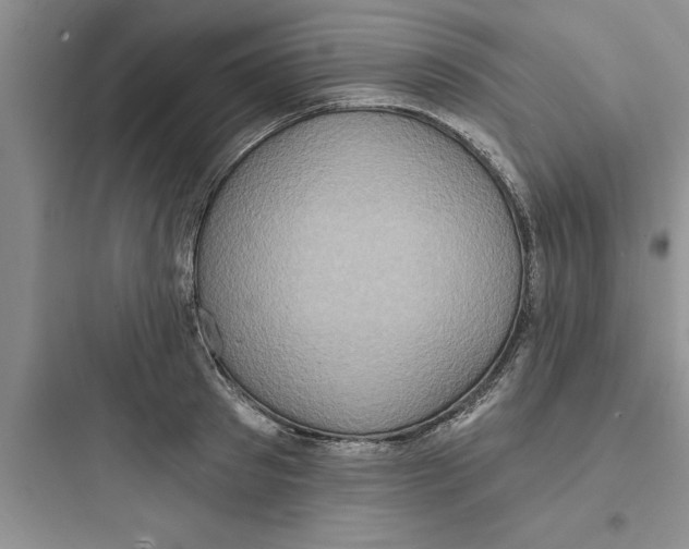 X0000097610897200803211720