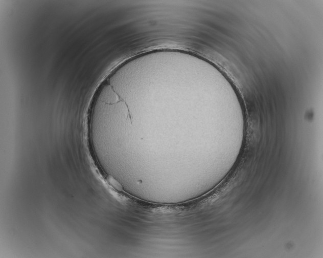 X0000097610898200803211720