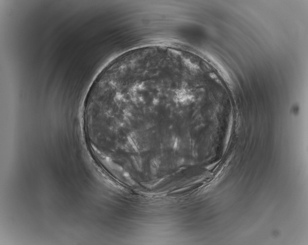 X0000097610899200803211720