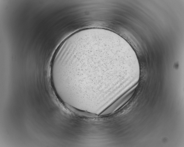 X0000097610900200803211720