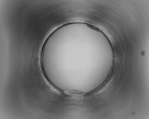 X0000097610901200803211720