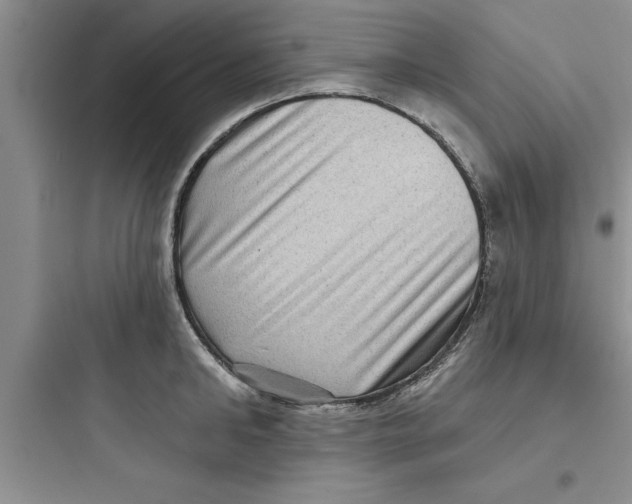 X0000097610902200803211720