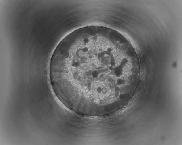 X0000097610903200803211720