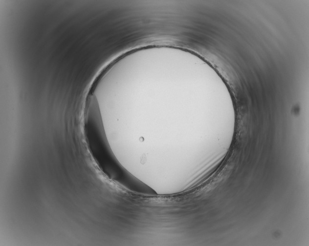 X0000097610904200803211720